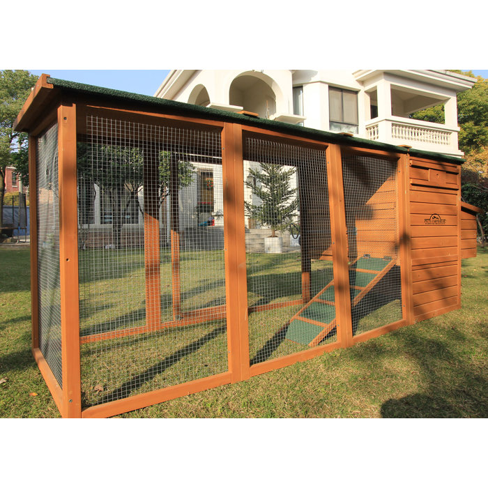 Pets Imperial® Chicken Coops Nesting Boxes & Reviews Wayfair